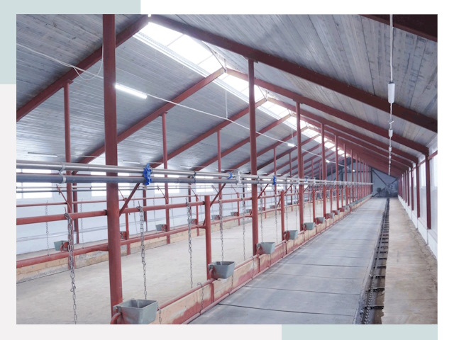 Строительство коровников в Гудермесе от 615 руб.