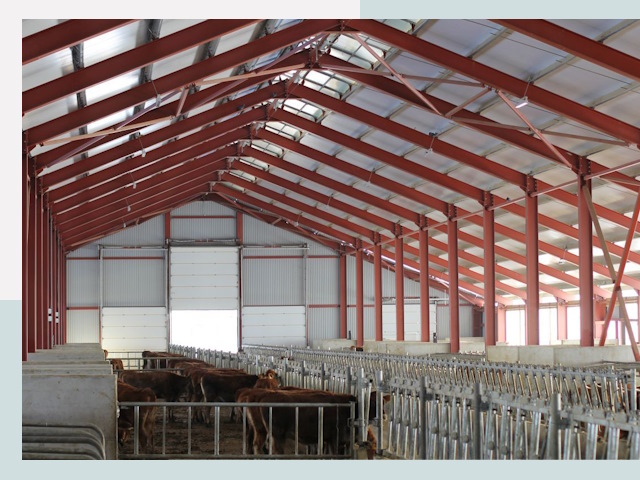 Строительство коровников в Гудермесе