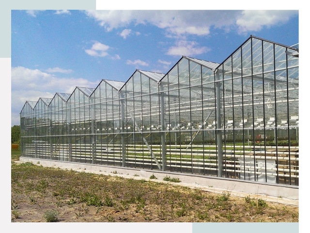 Строительство теплиц в Гудермес от 615 руб. за м²