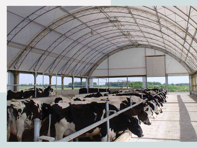 Тентовые коровники в Гудермесе